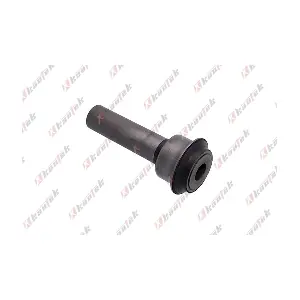 NI-BS037 KAUTEK
