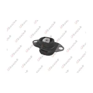 RE-TM010 KAUTEK