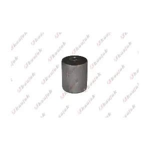 FD-BS102 KAUTEK
