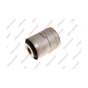 LR-BS047 KAUTEK