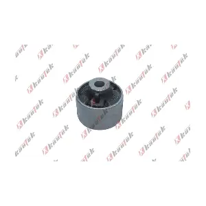 RE-BS093 KAUTEK