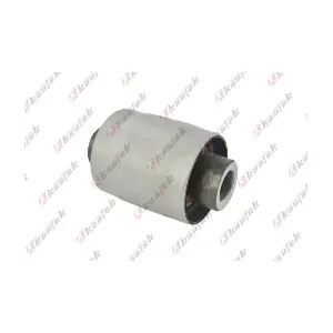 HY-BS156 KAUTEK