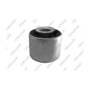 AF-BS001 KAUTEK