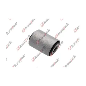 CH-BS145 KAUTEK