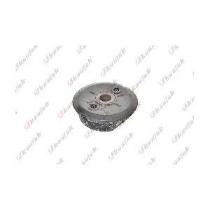 FD-BS117 KAUTEK