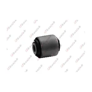 LR-BS006 KAUTEK
