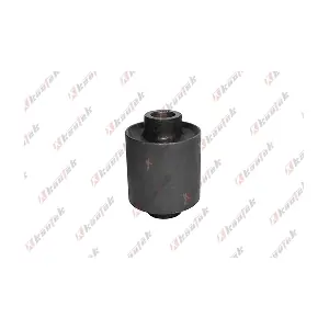 LR-BS003 KAUTEK