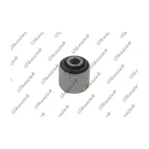 LR-BS069 KAUTEK