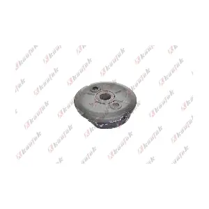 FD-BS118 KAUTEK