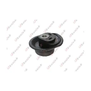 VW-BS095 KAUTEK