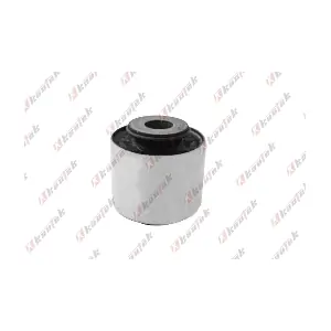 KAUTEK DC-BS009