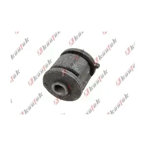 HY-BS171 KAUTEK