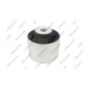 TS-BS003 KAUTEK