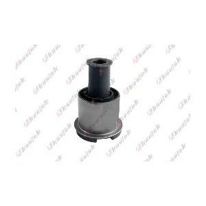 FD-BS163 KAUTEK