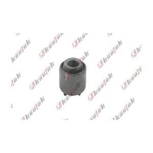 HY-BS167 KAUTEK