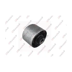 HY-BS143 KAUTEK