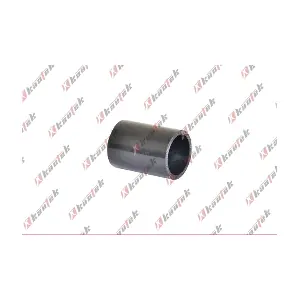 NI-TH010 KAUTEK