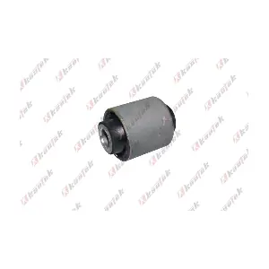 FD-BS121 KAUTEK