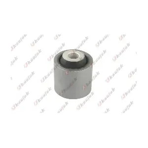 LR-BS060 KAUTEK