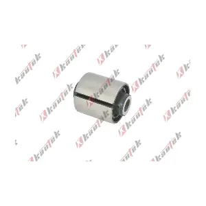 HY-BS201 KAUTEK