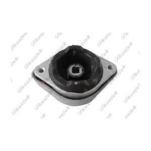 VW-TM011 KAUTEK