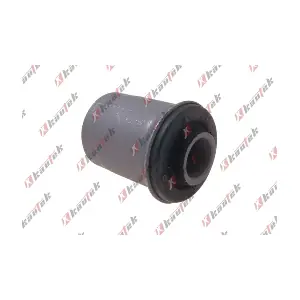 IS-BS002 KAUTEK