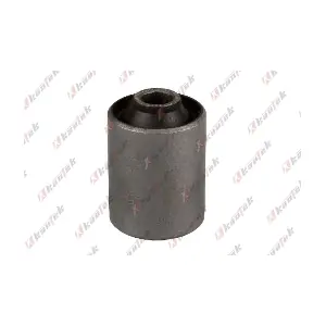 KAUTEK HOBS019