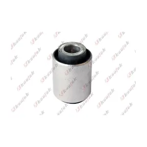 FD-BS171 KAUTEK