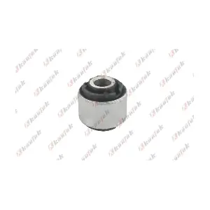 HY-BS142 KAUTEK
