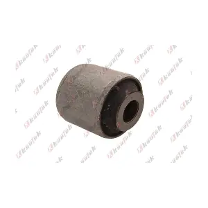 FD-BS257 KAUTEK