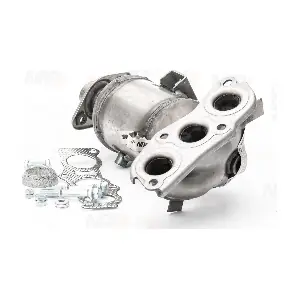 CAK10113 NAP carPARTS