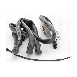 NAP carPARTS CLS10137
