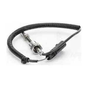 CTS10175 NAP carPARTS