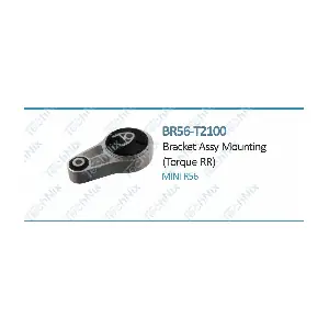 BR56-T2100 TechNix