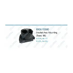 BX5E-T2100 TechNix