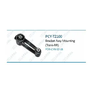 PCY-T2100 TechNix