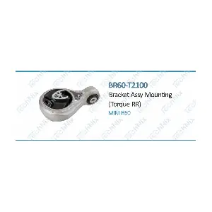 BR60-T2100 TechNix