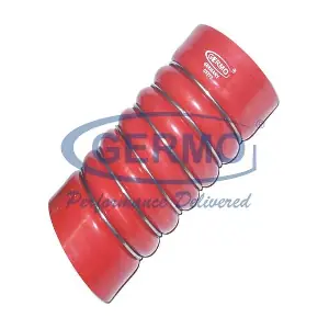 60125 GERMO