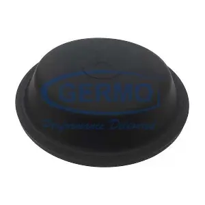 GERMO 01029