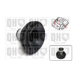 QUINTON HAZELL EM4839