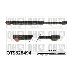 QTS828494 QUINTON HAZELL