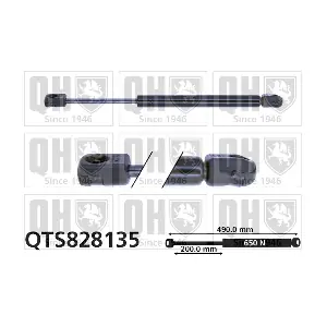 QTS828135 QUINTON HAZELL