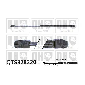 QTS828220 QUINTON HAZELL