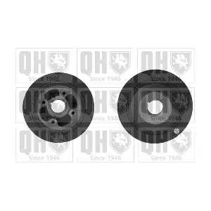 QUINTON HAZELL QCD25