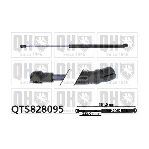 QTS828095 QUINTON HAZELL