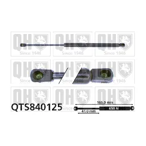 QTS840125 QUINTON HAZELL