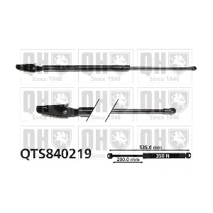QTS840219 QUINTON HAZELL