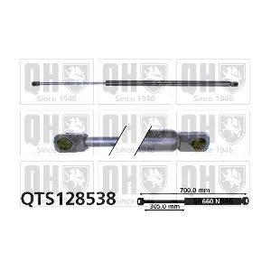 QTS128538 QUINTON HAZELL
