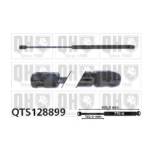 QTS128899 QUINTON HAZELL