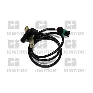 QUINTON HAZELL XREV119